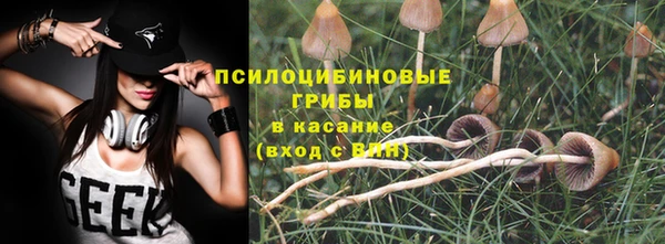 герыч Алзамай