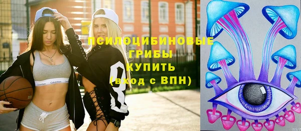 прущий лед Алексин