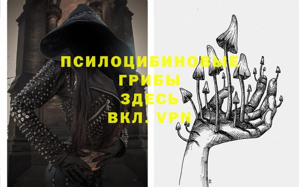 герыч Алзамай